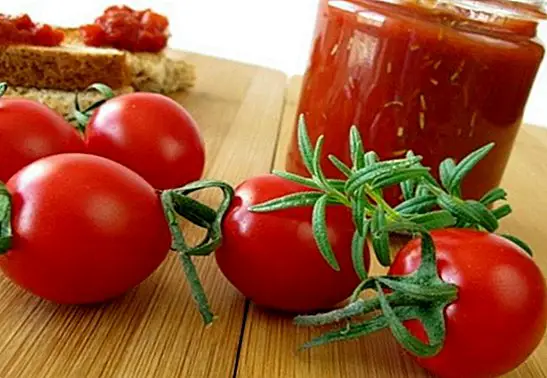 Tomat sød: Opskrift at lave en populær canarisk dessert