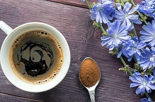 Cereale cafea: cel mai bun înlocuitor pentru cafea. Rețetă și beneficii