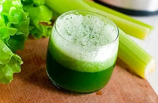 How to make a depurative celery juice: 5 recipes to eliminate liquids and toxins - recipes