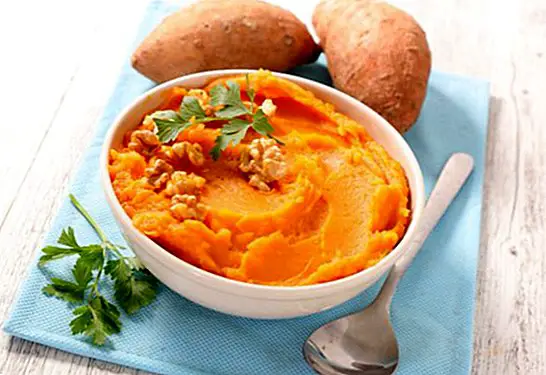 Delicious sweet potatoes: 3 recipes that you can not miss