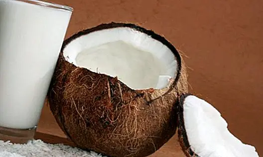Sådan laver kokosmælk hjemme: 2 enkle opskrifter