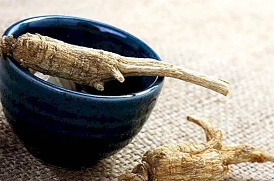 recettes - Comment faire un thé au ginseng et ses qualités pour la santé