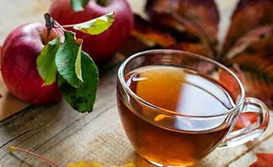 Obuolių arbata: 2 skanūs receptai (vienas su cinamonu)