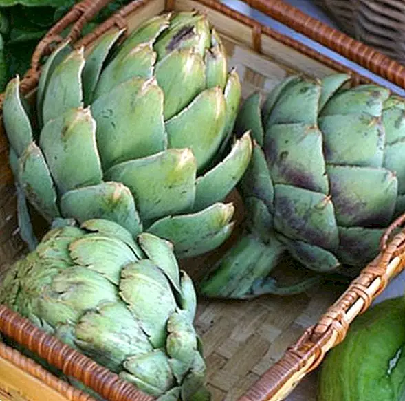 5 recipes with artichoke to enjoy their properties
