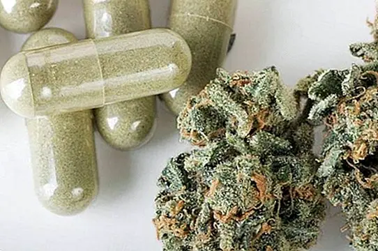 Marihuaana peamised meditsiinilised ja terapeutilised kasutused