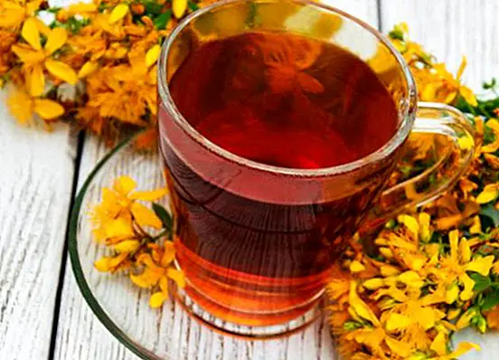 St. John's wort: its antidepressant properties and how to do it