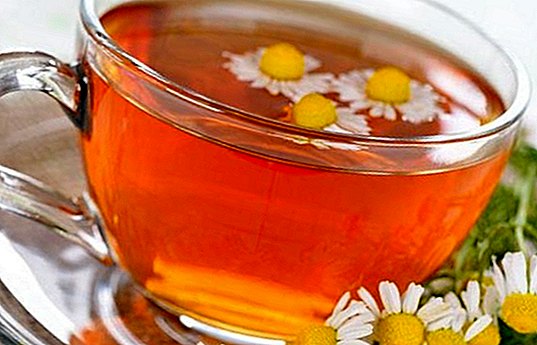 How to make an infusion of chamomile to enjoy its medicinal qualities - Natural medicine