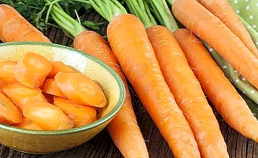 Морква вода для діареї