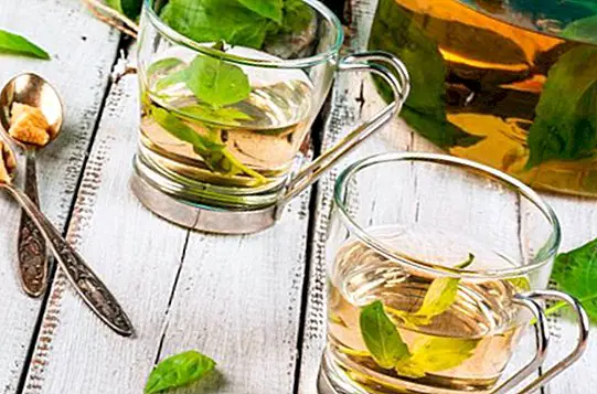 Chá de manjericão: receita, benefícios e propriedades