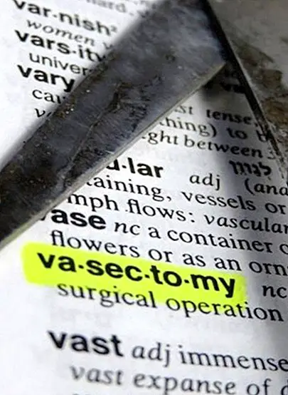 What is vasectomy, when to do it and what is it used for? - health and medicine