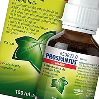 Prospantus-siirappi: mikä se on, mikä se on ja oikea annos