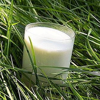 The benefits of goat milk for the skin