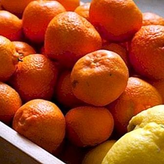 Vitamin C in njegove koristi za kožo