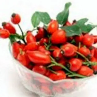 Rosehip oil, benefits and properties