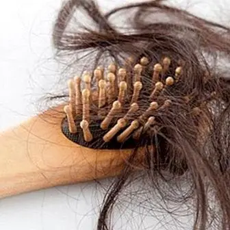 Quantos cabelos caem por dia e como evitá-lo