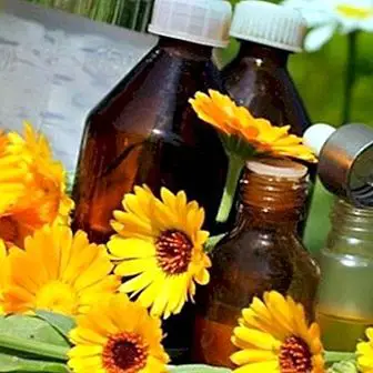 How to prepare an ideal homemade calendula oil for massages