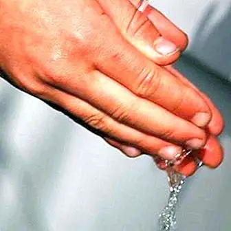 Miks peaksite iga kord, kui sööma minema, käsi pesta
