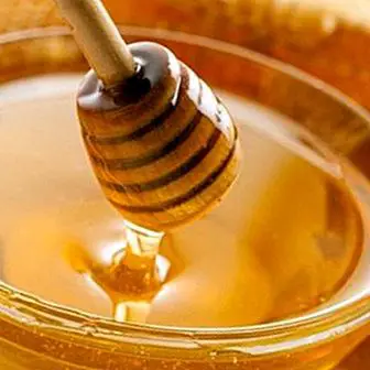 Como tomar mel para desfrutar de suas propriedades medicinais e curativas