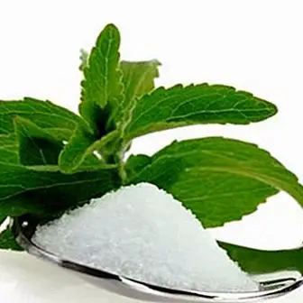 Prečo nahradiť biely cukor stevia