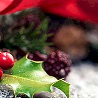 Χριστουγεννιάτικη αγάπη: προέλευση, παράδοση και περιέργεια