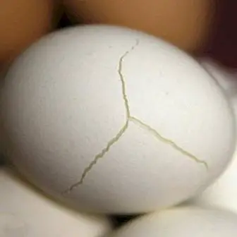 Onko tarkoituksenmukaista syödä muna, jonka kuoressa on halkeamia?