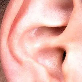 What is the eardrum and what is it used for?