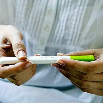 Test ovulacije: kako deluje in kako vam pomaga zanositi