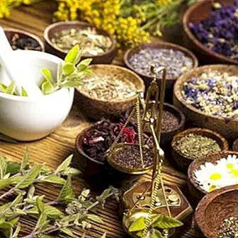 Plants and herbs to improve fertility naturally