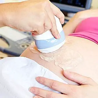 How many ultrasound scans does Social Security perform during pregnancy?