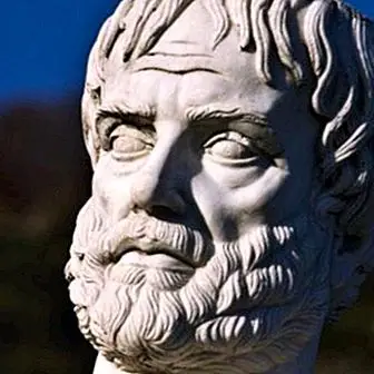 10 berømte citater af Aristoteles, der tjener til at forbedre sig som mennesker