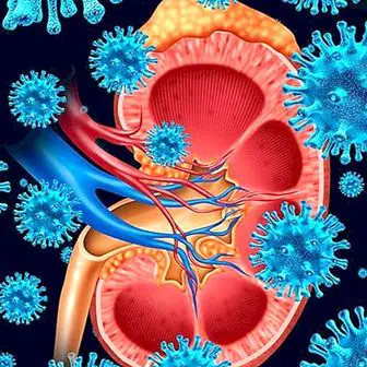 Uremia: what it is, symptoms, causes and treatment
