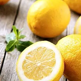 Výhody a vlastnosti najdôležitejšieho citrónu