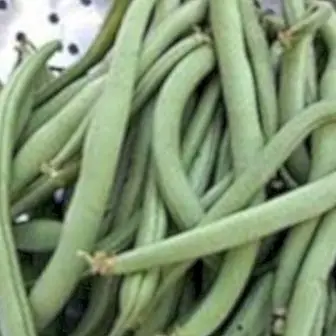 Green beans: benefits and properties