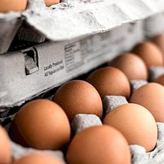 Crise de ovos contaminados: tudo o que há para saber