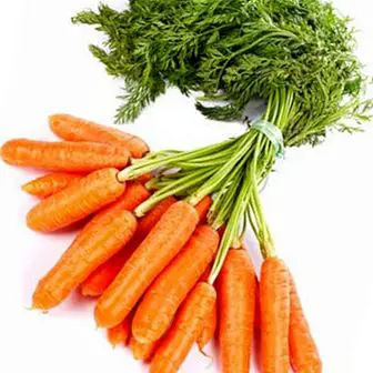 Porkkana: älä missaa ruokia kesällä