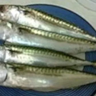 Horse mackerel: benefits and properties