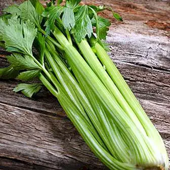 Celery: incredible benefits, properties and contraindications