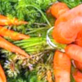 O que é beta-caroteno?
