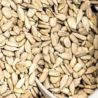 Sjemenke suncokreta: prednosti i nutritivna svojstva