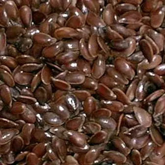 Flax seeds: properties and benefits