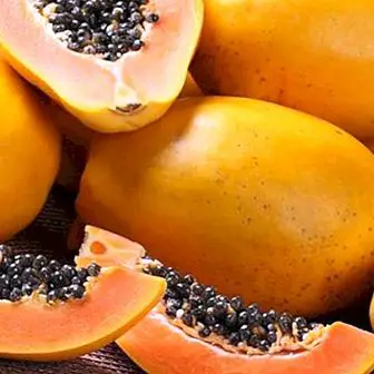 Papaya: kasu ja omadused