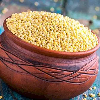 Millet: beneficii și proprietăți ale unei cereale nutritive și 2 rețete