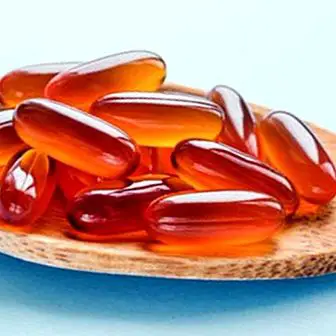 Lecithin: benefits against fats and properties