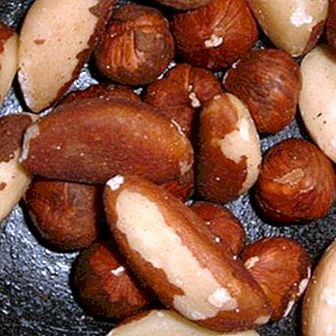 Kacang Brazil: faedah dan harta benda