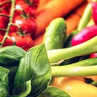 Hvilke grøntsager har en større diuretisk effekt