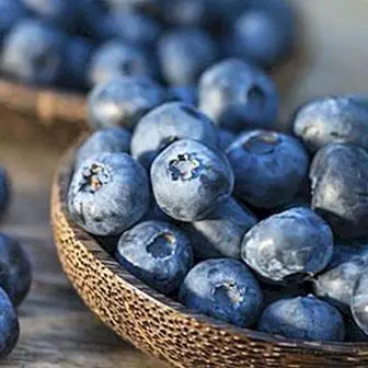 Blueberries Calories