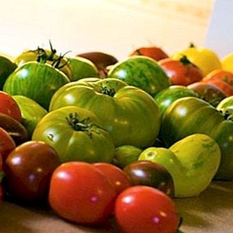 Fargen på frukt, grønnsaker og deres helsemessige fordeler