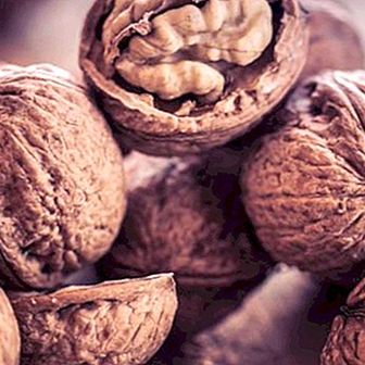 Nuts and their potent qualities to prevent cancer