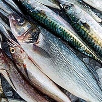 Kék hal: típusok, előnyök és táplálkozási információk