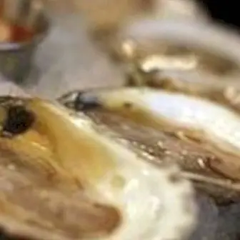 Austrid: omadused ja eelised